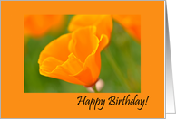 Happy August Birthday Orange Poppy Close Up Macro Photograph card