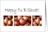 Tu B’Svhat Pomegranate Photograph Card
