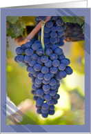 Thanks a Bunch Red Grapes on the Vine Photograph card