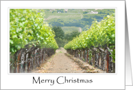 Merry Christmas Napa Valley card