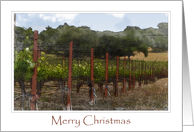 Merry Christmas Napa Valley card