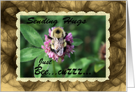 Sending Hugs Just Bee...CuZZZ card