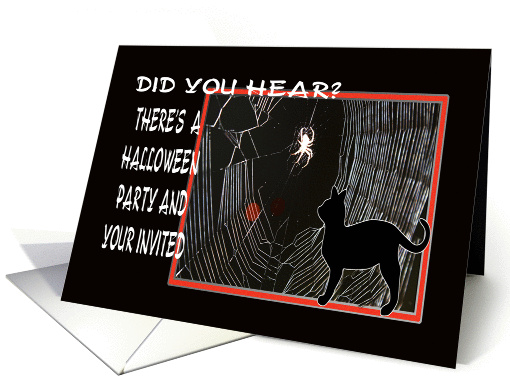 Halloween Party Invitation Black Cat And Spider card (861645)