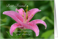 Best Friend Birthday, Pink Tiger Lily card