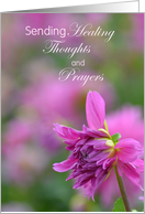 Sending Healing Thoughts and Prayers, Mastectomy card