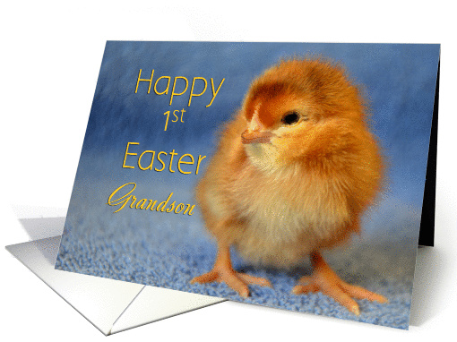 Happy 1st Easter Grandson, baby chick card (1240958)