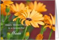 Mom, Mother’s Day, Orange Daisies card