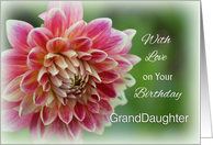 With Love Granddaughter Birthday, Dahlia card