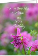 Beautiful Nana Birthday, Dahlia card