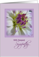 Deepest Sympathy with Purple and white Dalilah card
