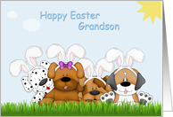 Happy Easter, Grandson, Dog Bunnies, Grass card