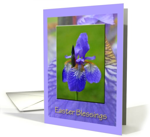 Purple Iris, Easter Blessings card (791595)