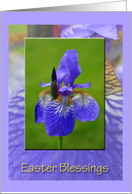 Purple Iris, Easter Blessings card