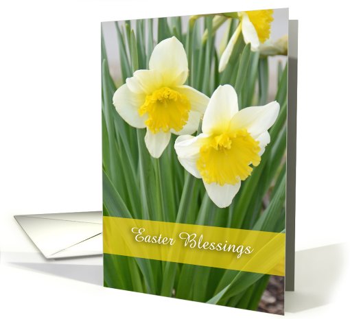 Daffodils, Happy Easter card (802485)