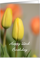 Happy 22nd Birthday, Yellow and Orange Tulips card