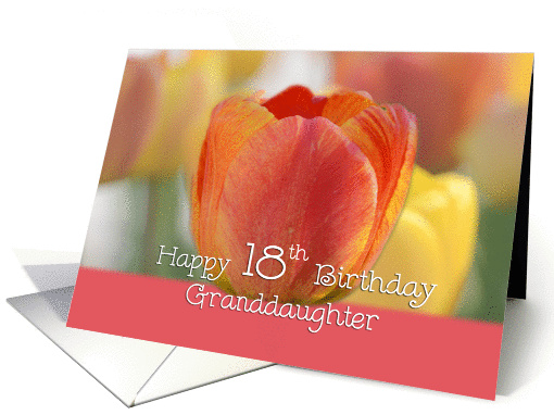 Granddaughter 18th Birthday, Orange and yellow tulips card (818031)