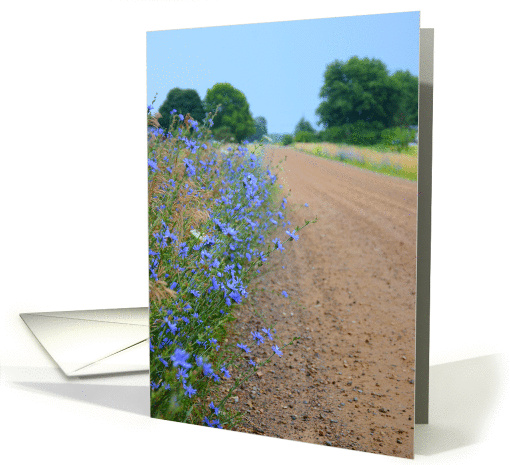 Cancer Recovery, dirt road with wild flowers card (845869)