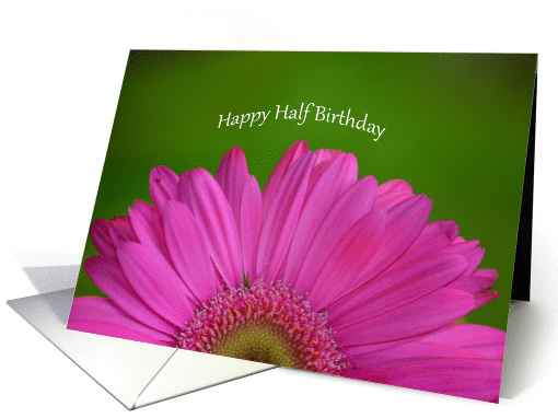 Happy Half Birthday, half pink gerber daisy with green background card