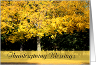 Thanksgiving Blessings, yellow fall tree card