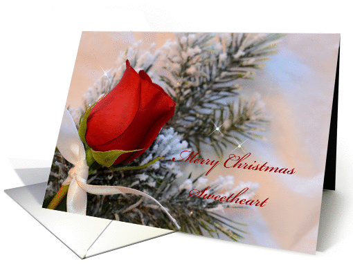 Merry Christmas Sweetheart, red rose on snowy branches card (883575)