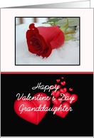 Red Rose Valentine, Red rose and hearts card