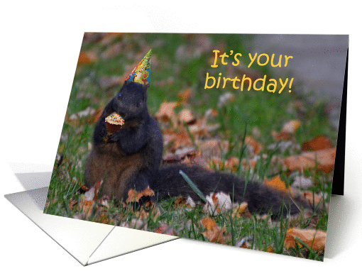 Squirrel Birthday, with cupcake and hat card (896387)