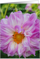 Purple Dahlia Get Well, Pink dahlia close up card