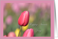 Nurses Day Pink Tulip, pink tulips framed card