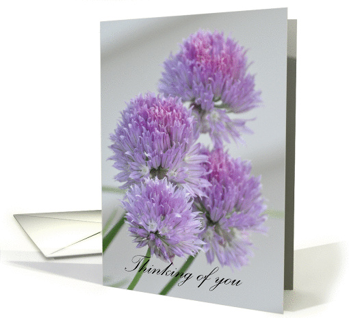 Thinking of You, purple chive flowers card (925727)