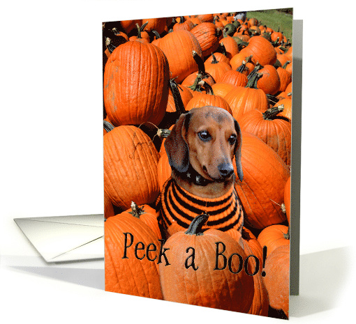 Halloween Doggy pumpkins dog card (955959)