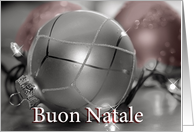 Italian Merry Christmas Ornaments, silver, lights, red card