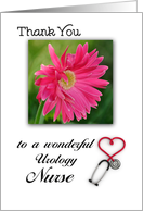 Thank You Urology Nurse, Gebera Daisy, stethoscope card