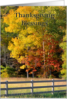 Thanksgiving Blessings, Fall Trees, Fence card