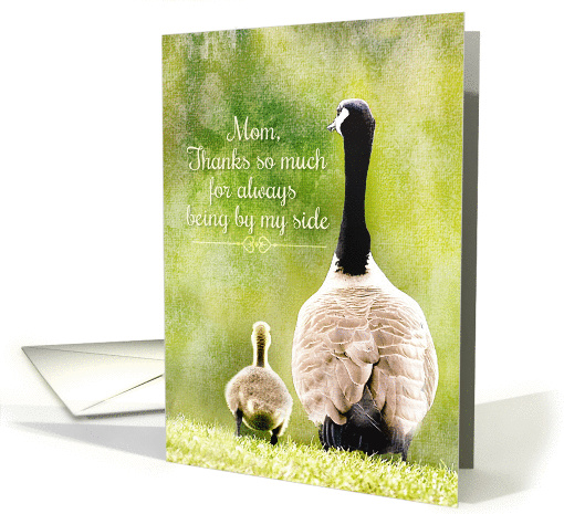 Happy Mother's Day Thanks Mom Adorable Goose and Gosling card