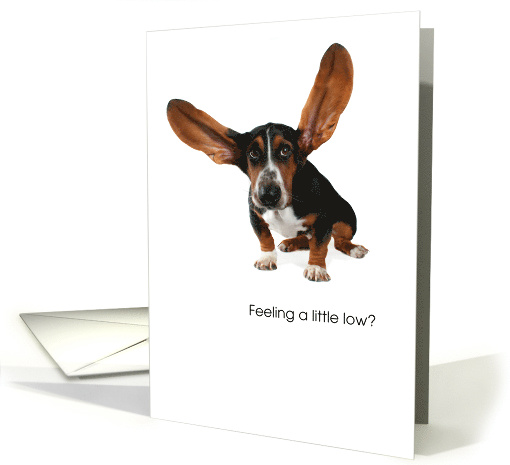 Encouragement Little Dog Big Ears card (1200738)