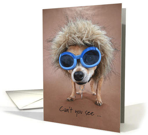 Happy Valentine's Day Funny Little Chihuahua Dog Big Glasses card