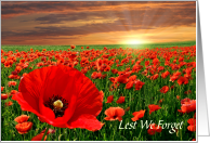 Remembrance Day Poppies and Sunset Lest We Forget card