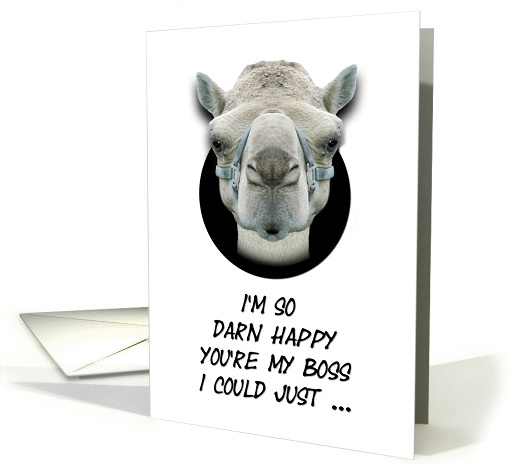 Boss's Day Greetings Funny Camel Humorous card (1322372)