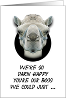 Boss’s Day Greetings From Group Funny Camel Humorous card