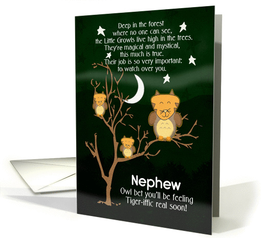 Get Well Soon for Nephew for Kids Children's Fantasy... (1378000)