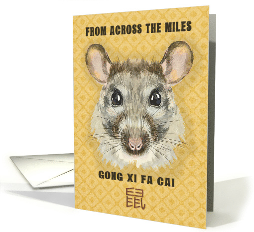 Happy Chinese New Year of the Rat From Across the Miles... (1577310)