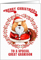 Merry Christmas to Great Grandson Big Bear in Santa Suit card