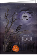 Nephew Boo Happy Halloween Misty Nighttime Scene card