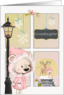 Granddaughter Christmas Scene with Girl Bear Looking in Window card