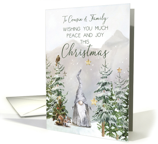 Cousin and Family Christmas Mountain Scene with Gnome and Stars card