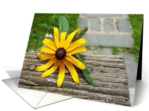 Black Eyed Susan Country Path Blank Note card (839841)