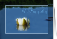 Water Lily on the Lake Sympathy card