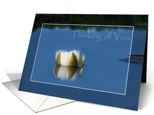 Water LIly on the Lake Thinking of You card (855556)