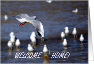 Welcome Home seabird card