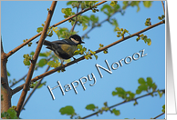 Happy Norooz - blue tit card